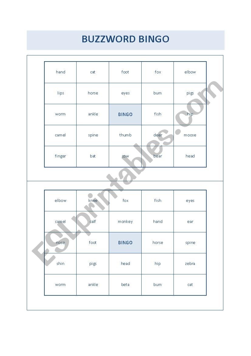 Body parts of animals worksheet