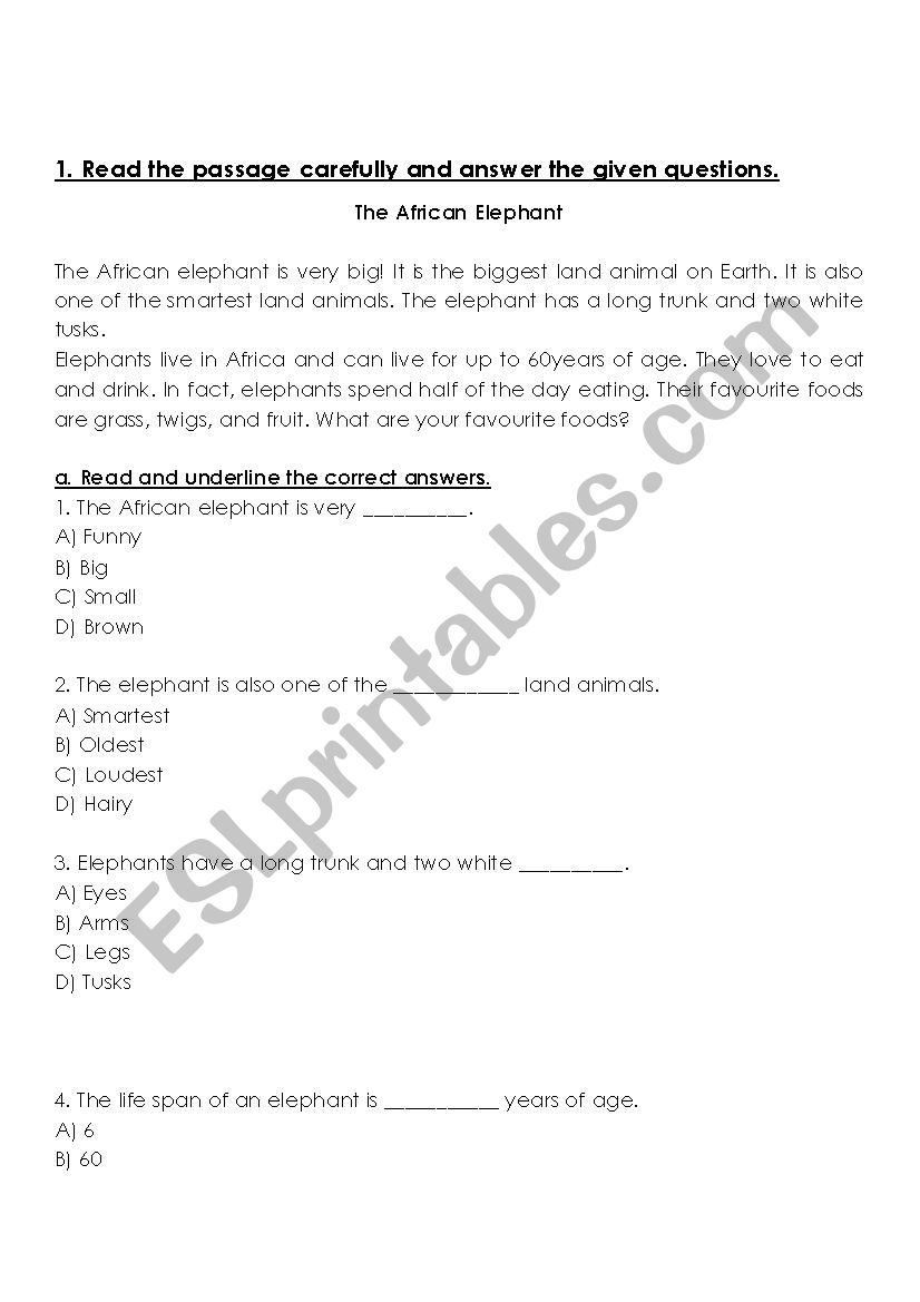 Reading comprehension worksheet