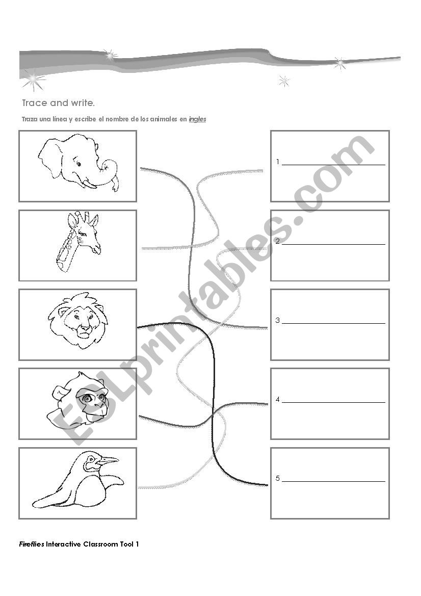 animals worksheet