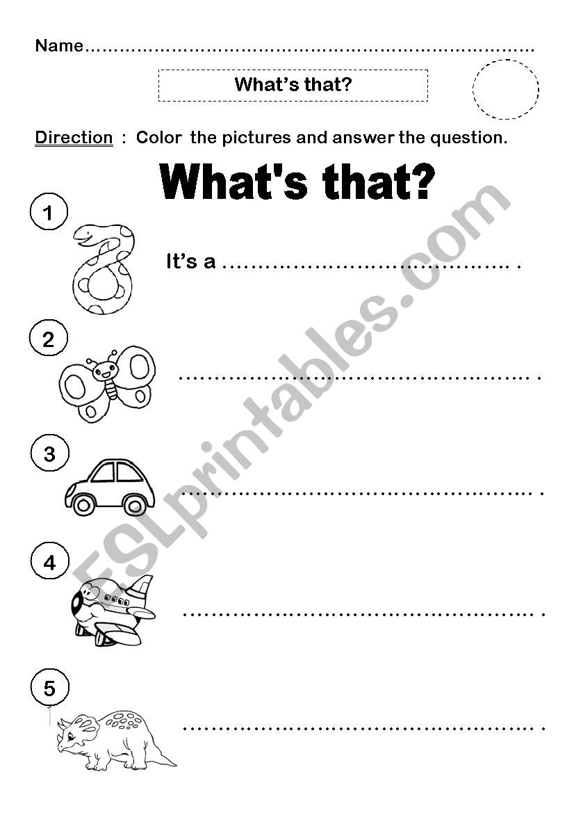 whats that? worksheet