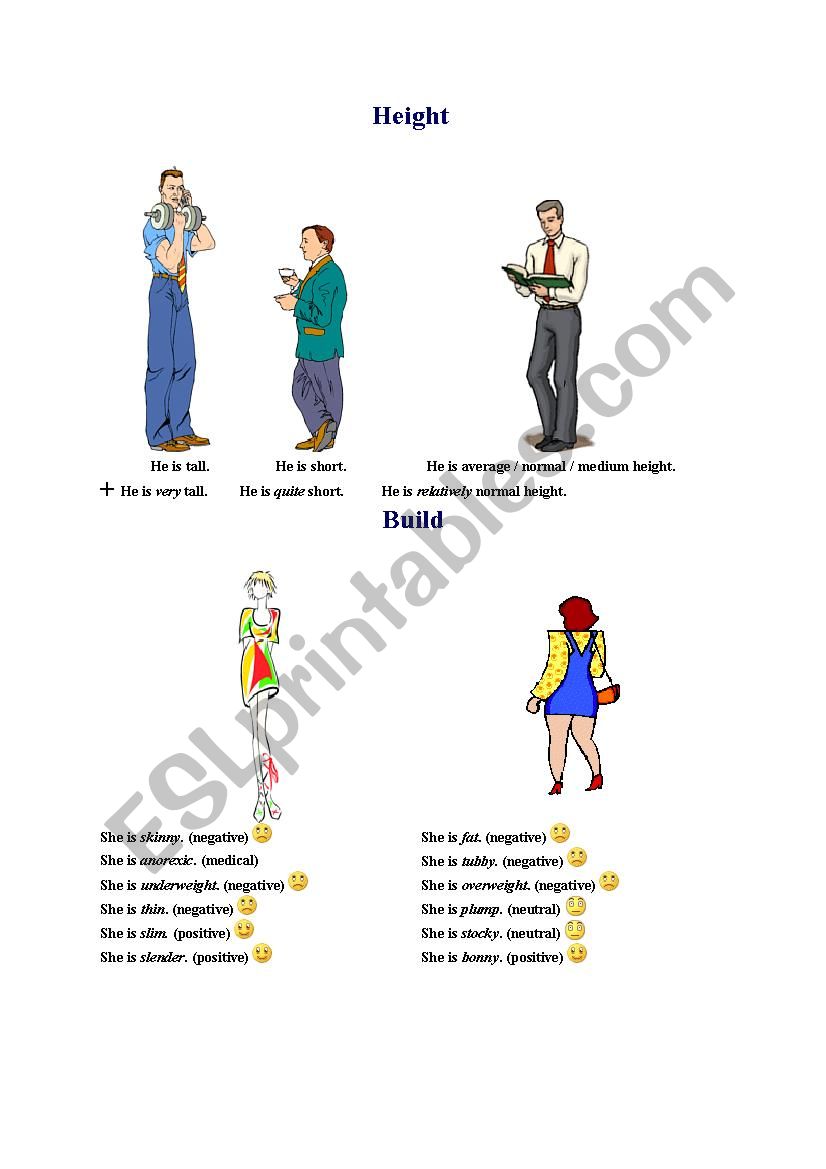 Physical description worksheet