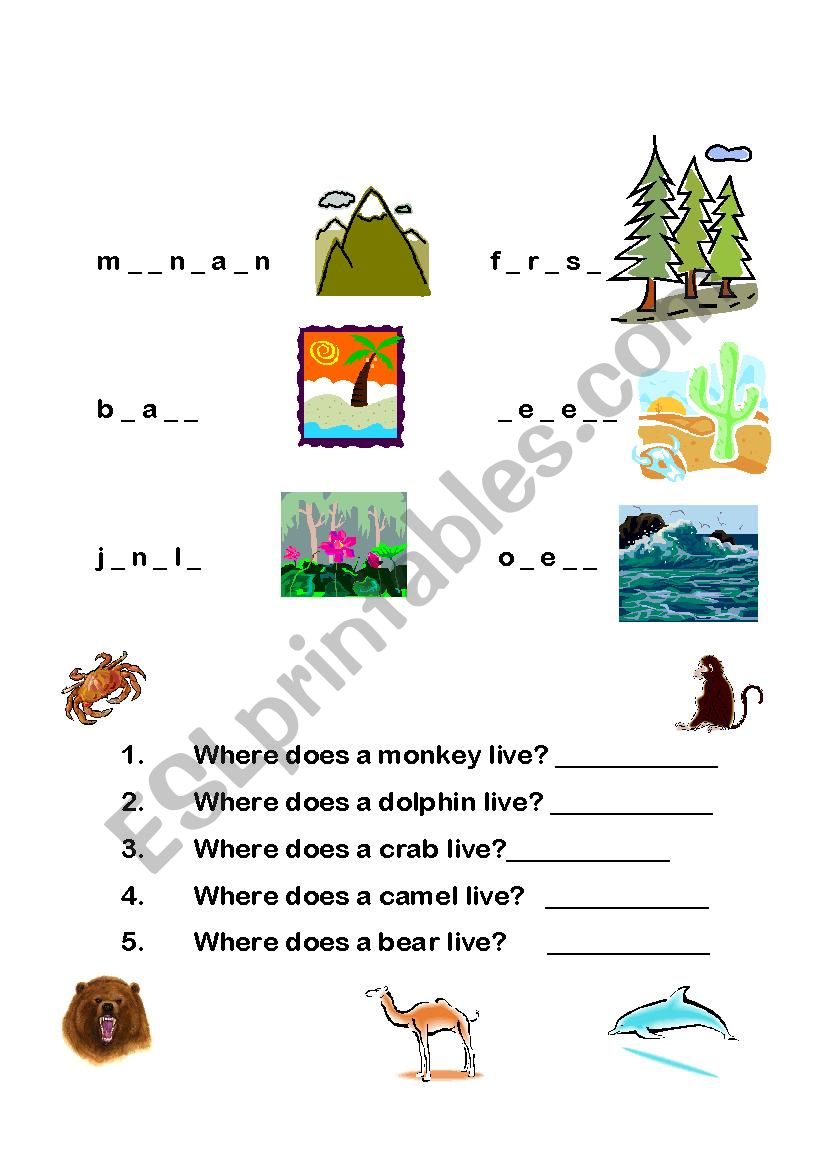 Terrain Types Fill-in worksheet