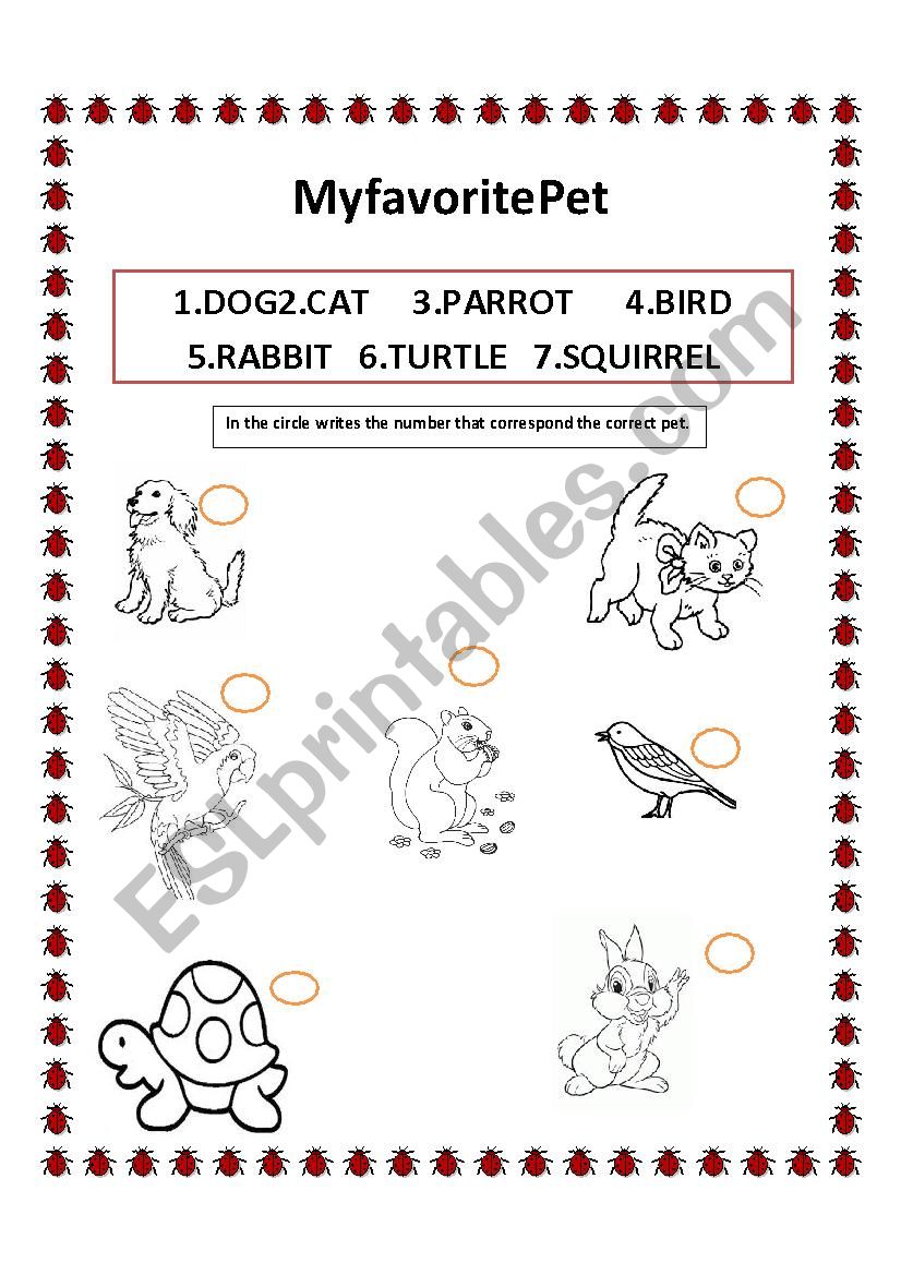 My Favorite Pet worksheet