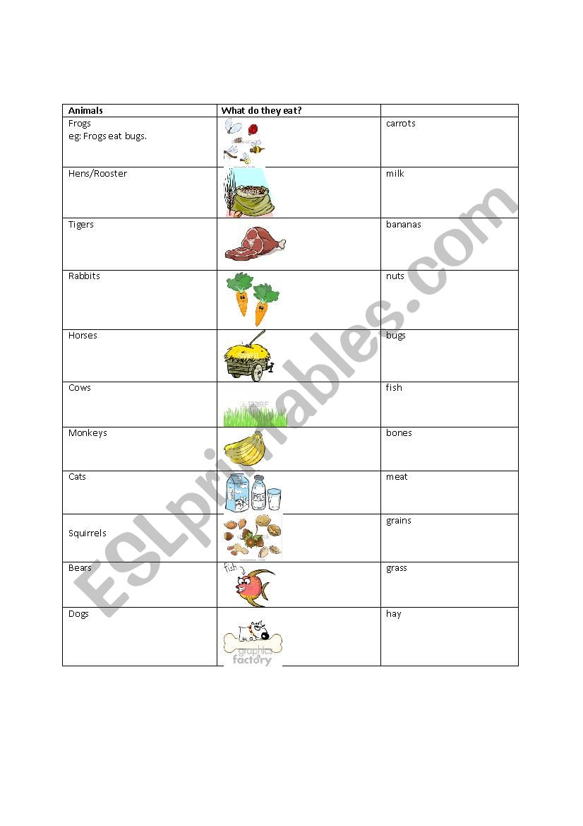 What do animals eat worksheet