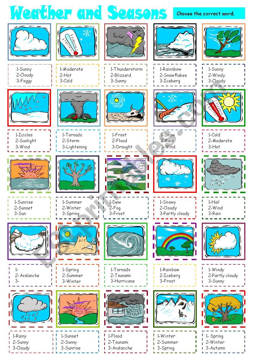 weather and seasons worksheet