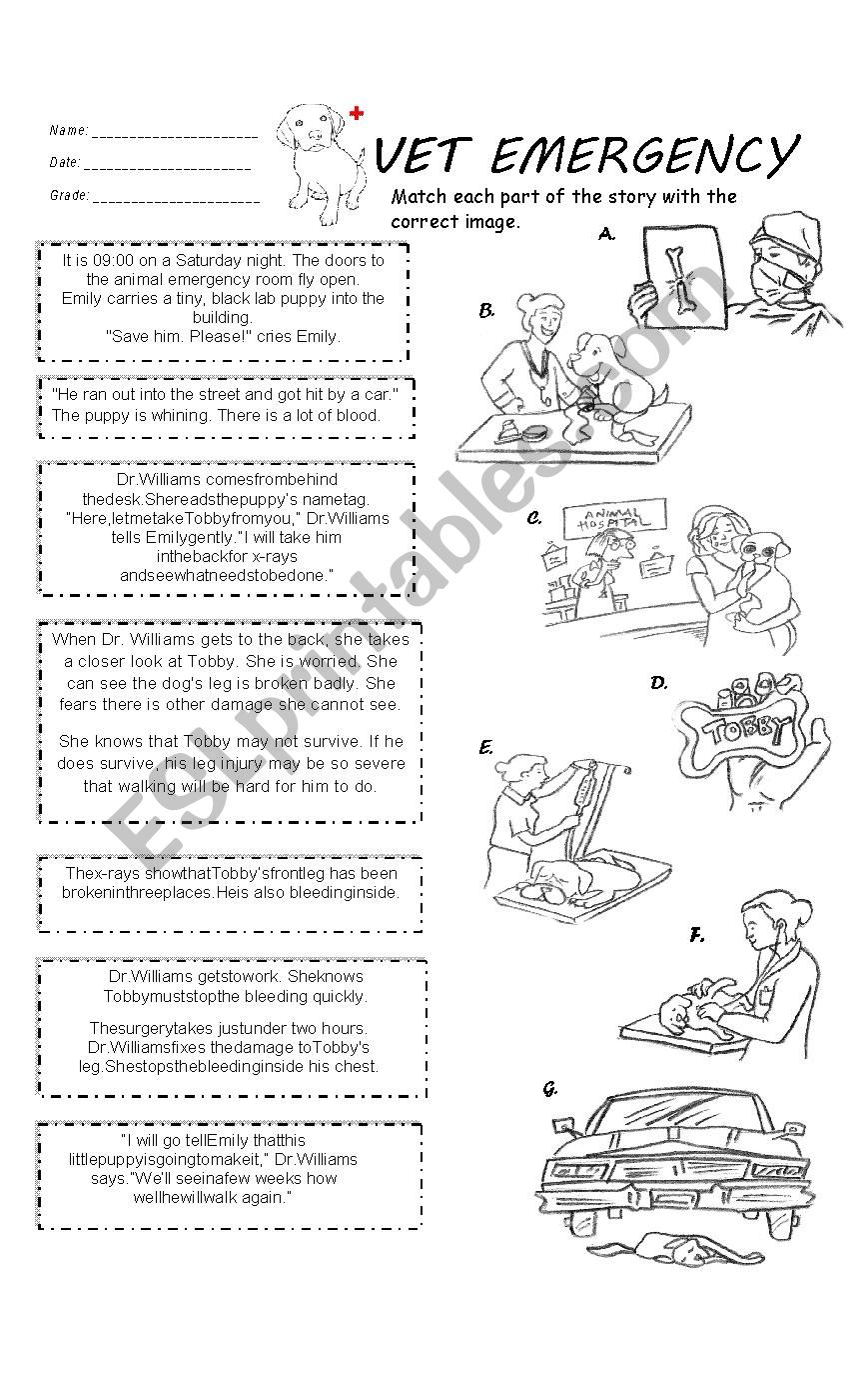 Vet emergency worksheet