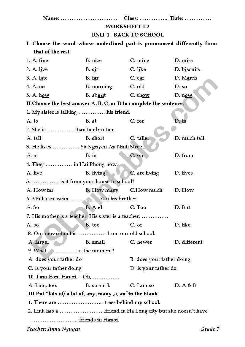 many, much, lots of/ a lot of worksheet