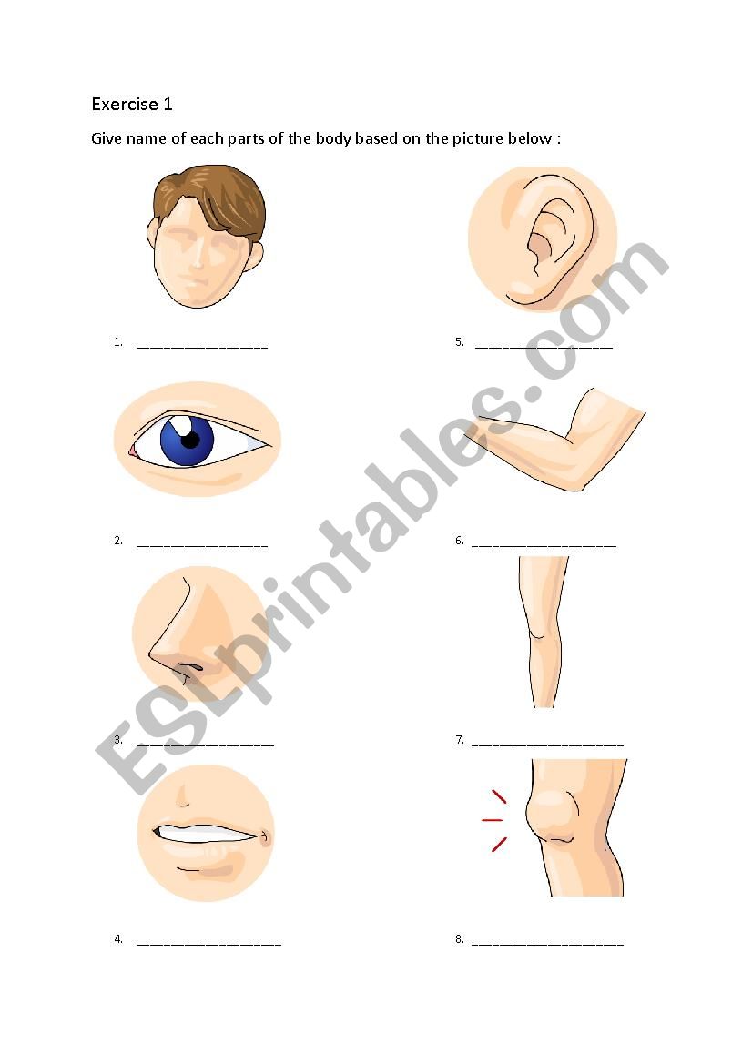 Parts of Body Exercises worksheet