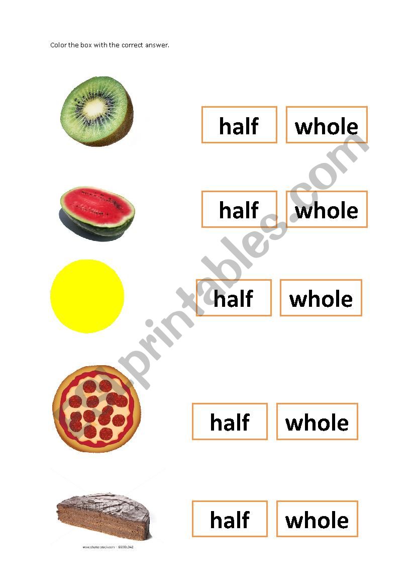 Half and Whole Size Comparison