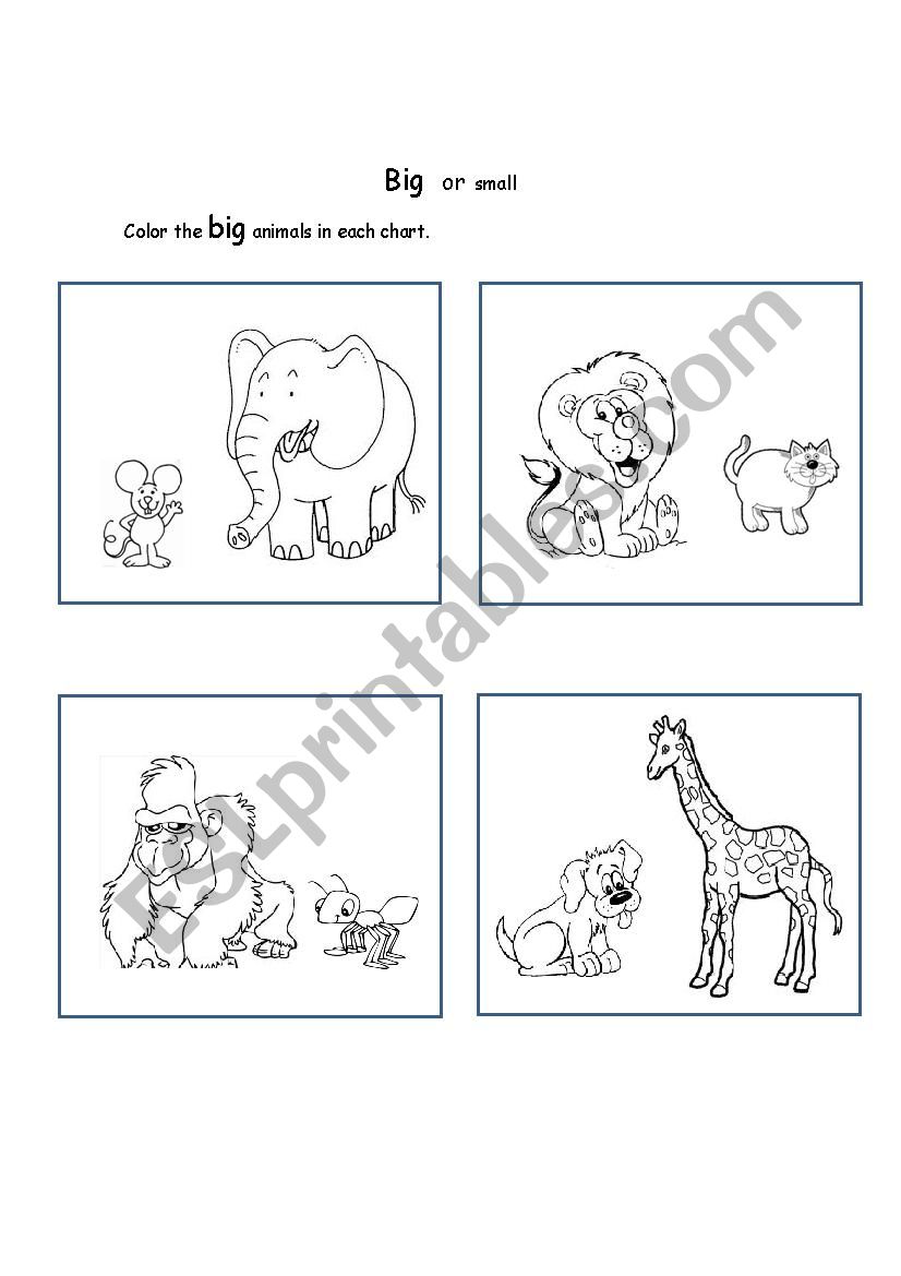 Big and Small Worksheets for kids Template