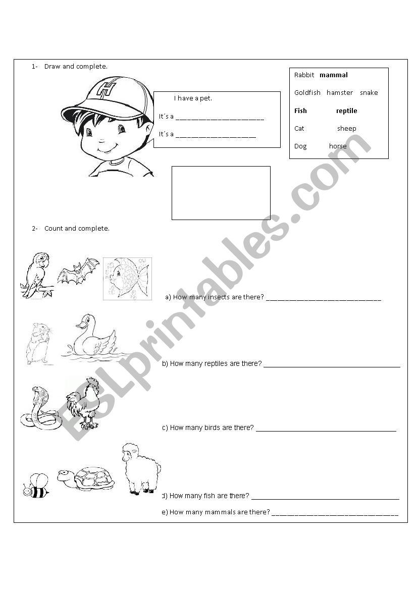 Pets worksheet