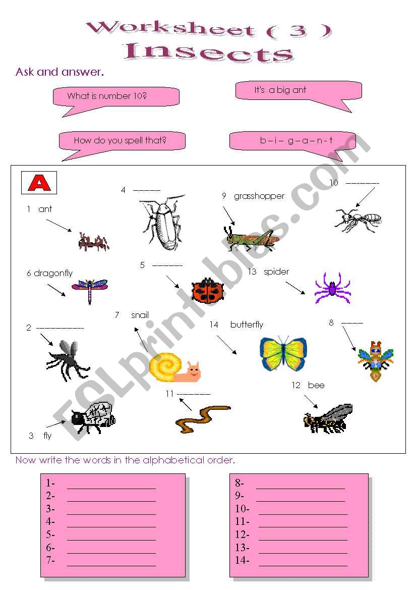 Vocabulary game 3 worksheet