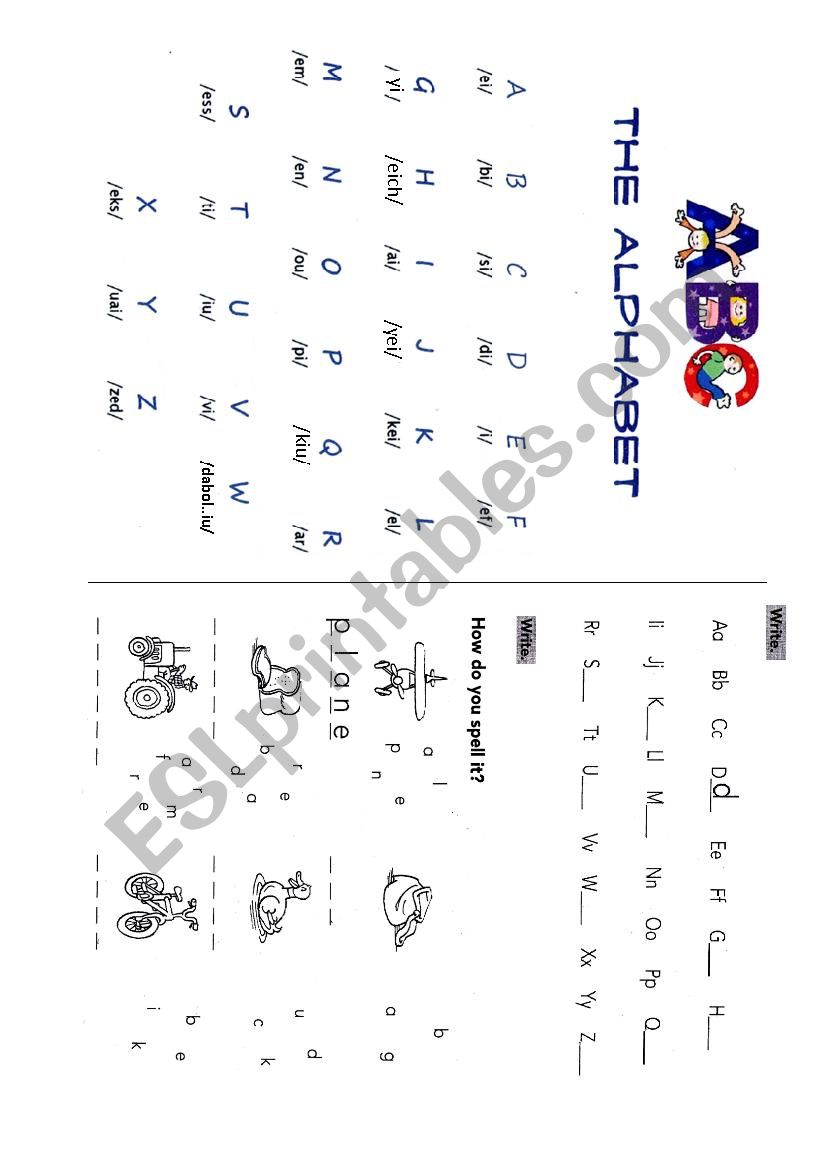 The alphabet worksheet