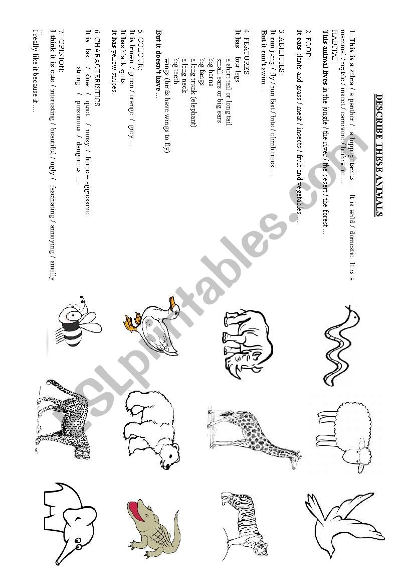 DESCRIBING ANIMALS worksheet