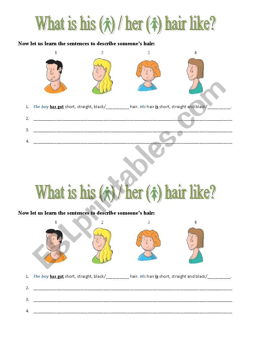 Physical Description - Hair - Sentence Structures Worksheet