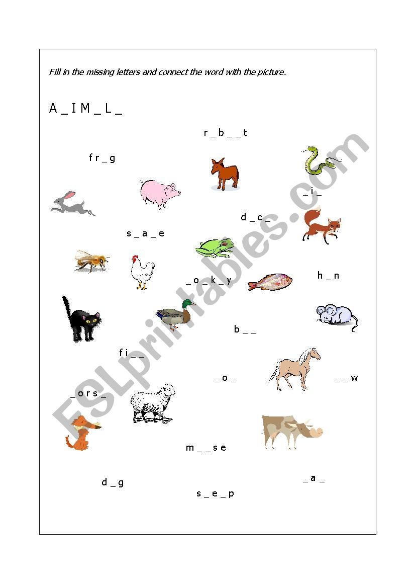 Animals worksheet