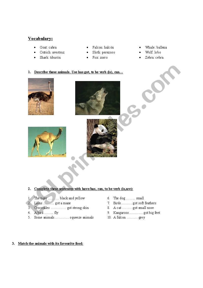 animal description worksheet