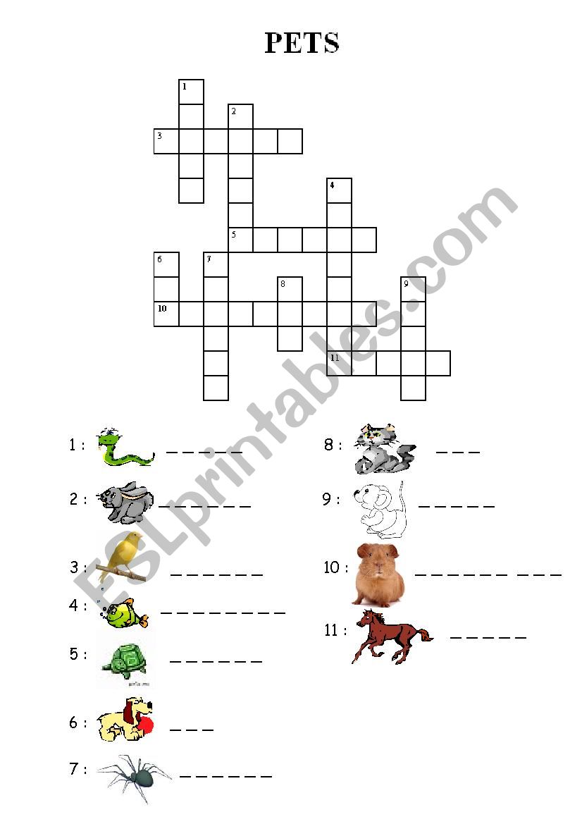 pet crosswords worksheet