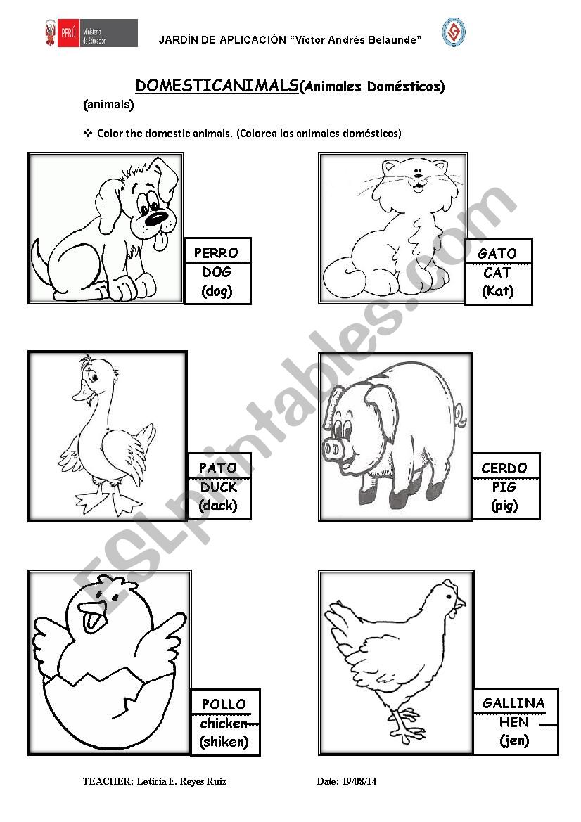 My little animals worksheet