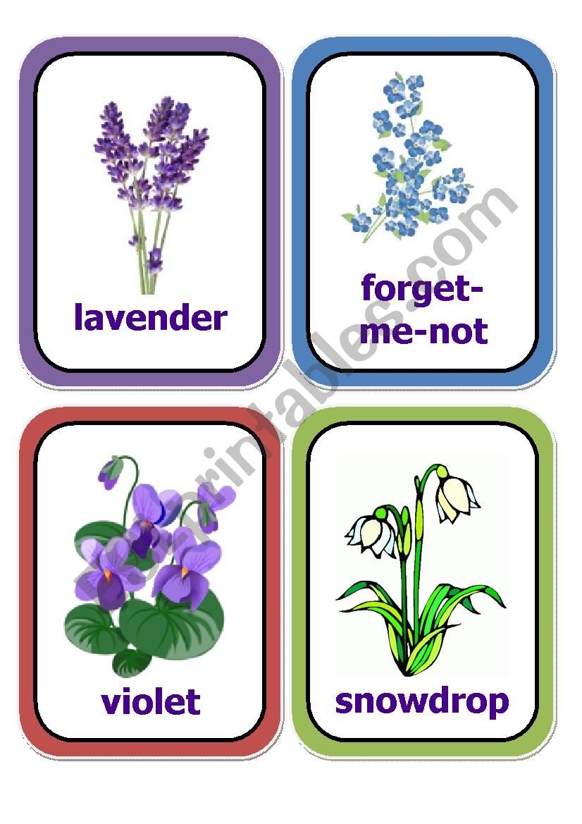 flowers cards part 2 worksheet