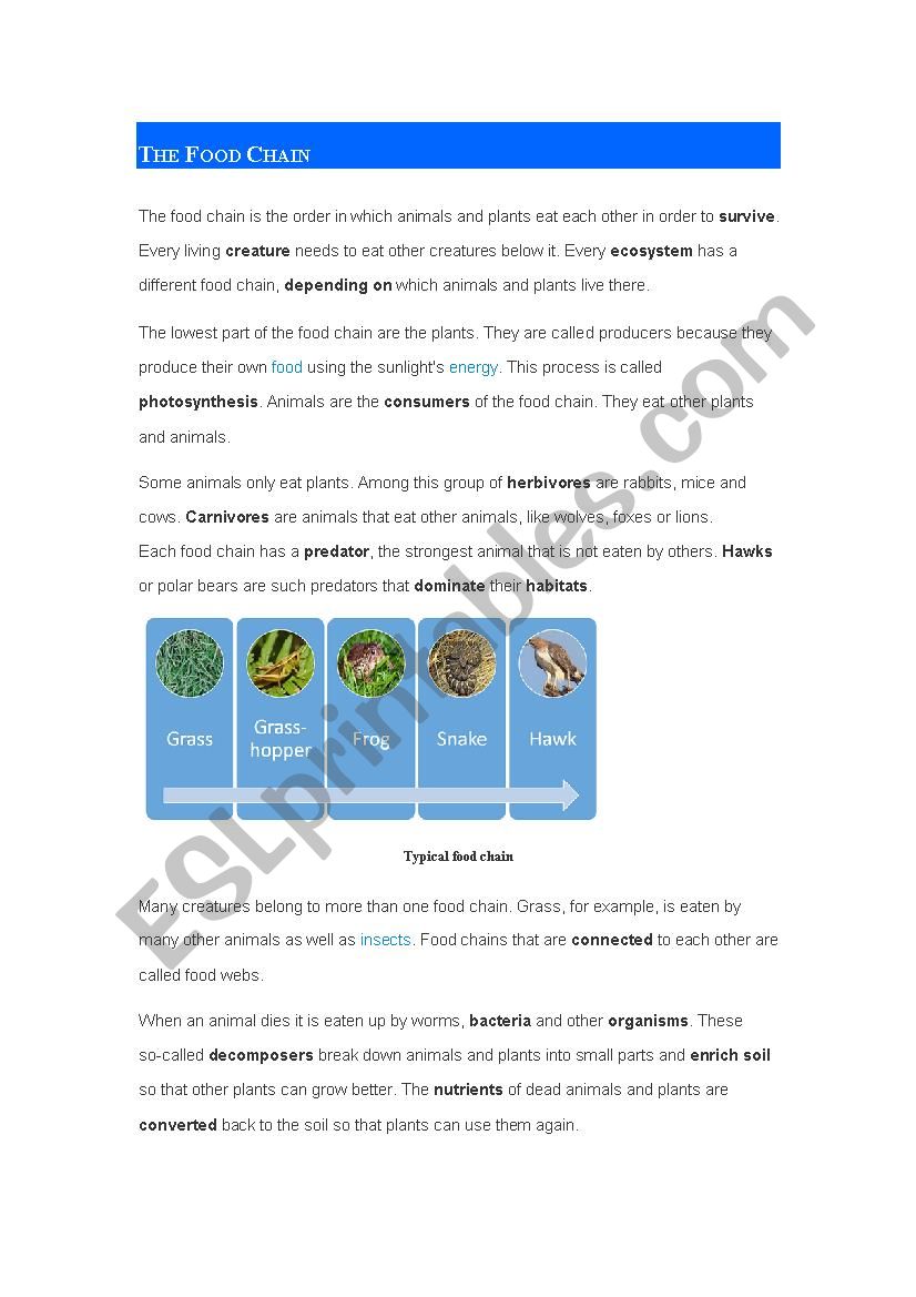 Reading and Speaking : Food chain