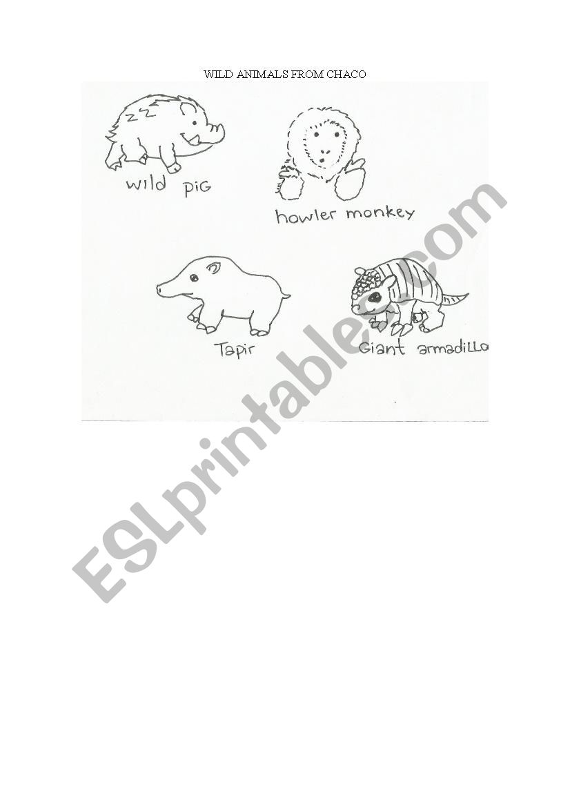 Wild animals from Chaco worksheet