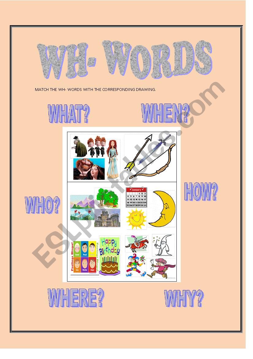 wh words worksheet