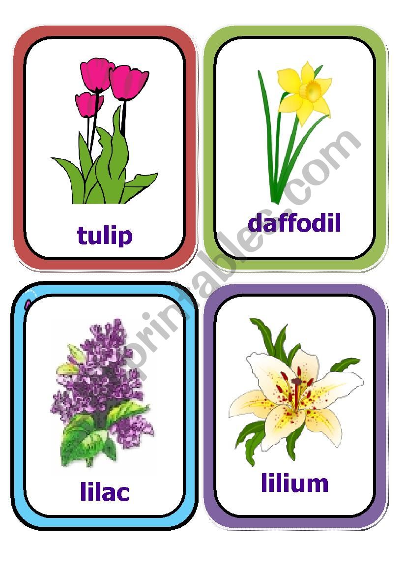 flowers cards part 1 worksheet