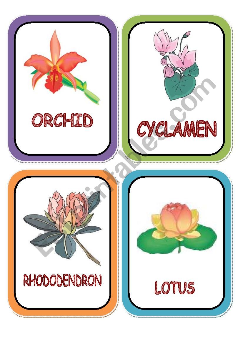 flowers cards part 3 worksheet