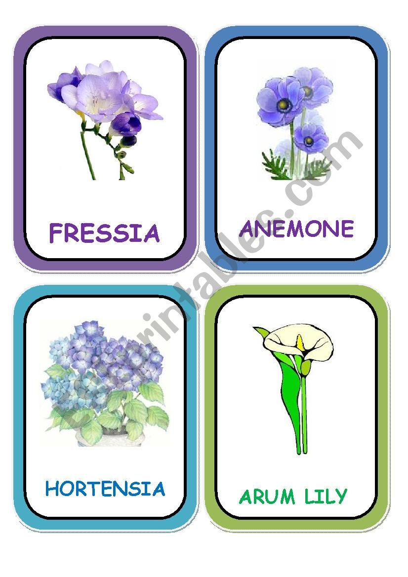 flowers cards part 4 worksheet