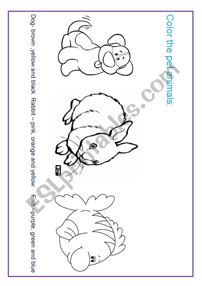 Animals and colors 2  worksheet