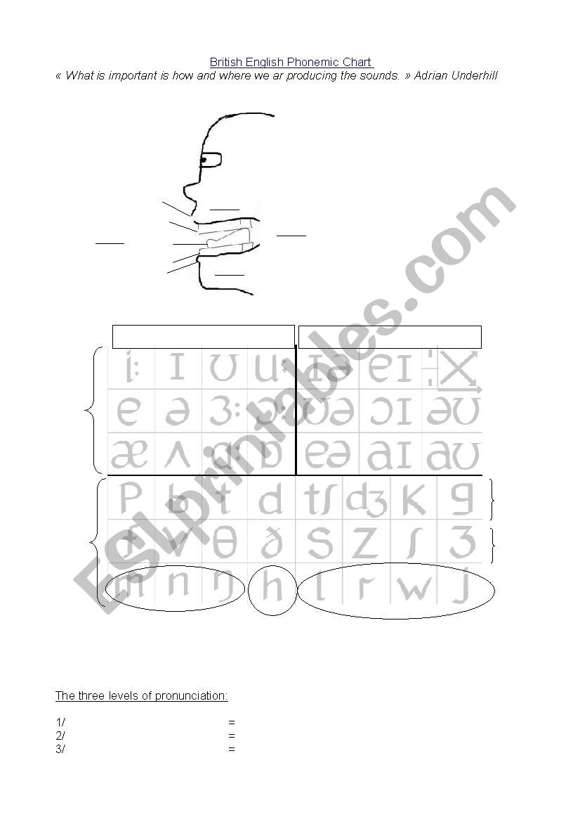 phonemic chart worksheet