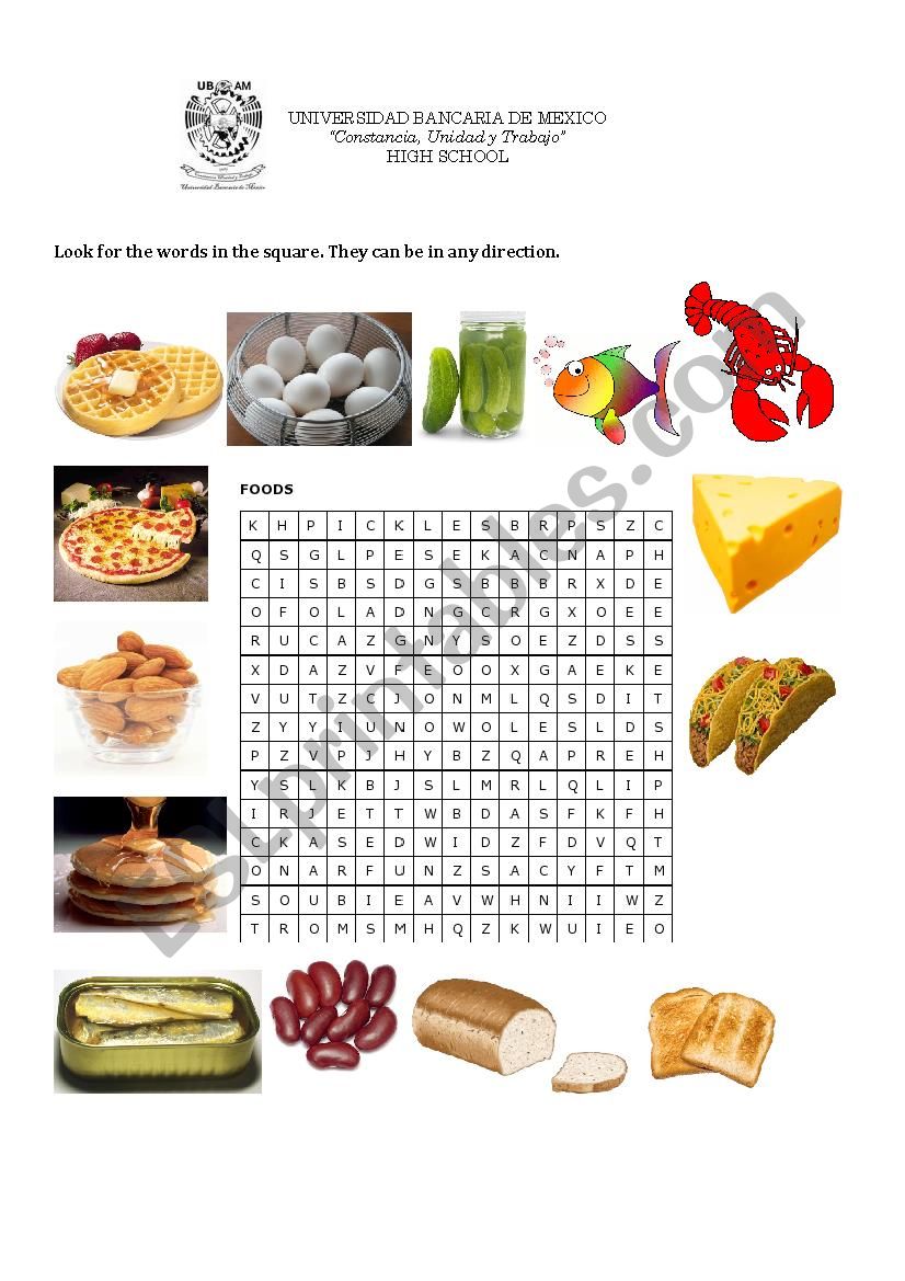 Kinds of food worksheet