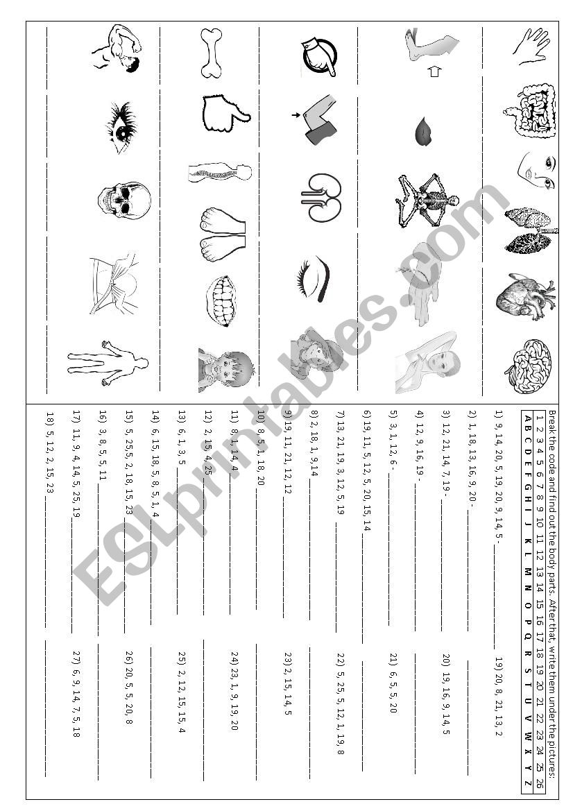 Body parts break code worksheet