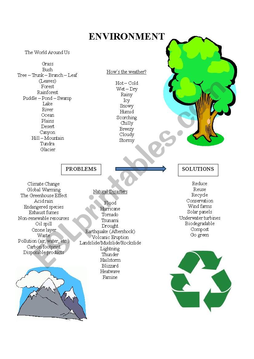 Environment Vocabulary worksheet