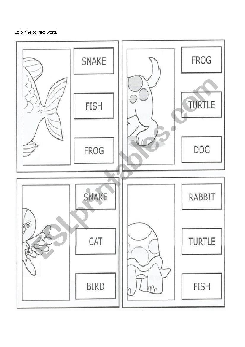 animals worksheet