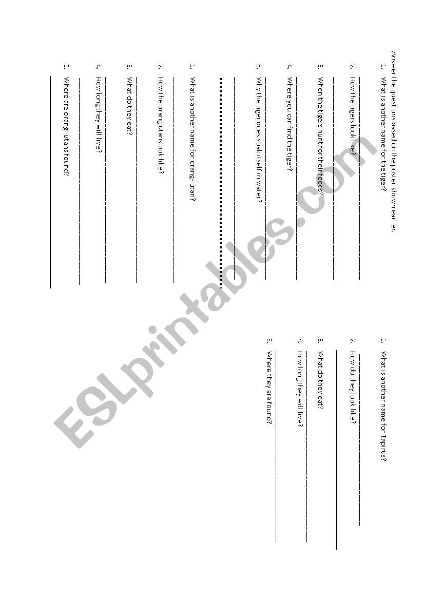 comprehension worksheet