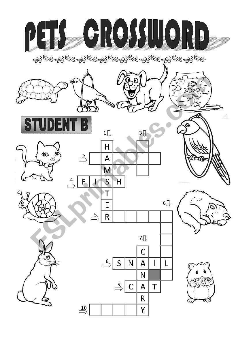 Pet Crossword  Student B worksheet