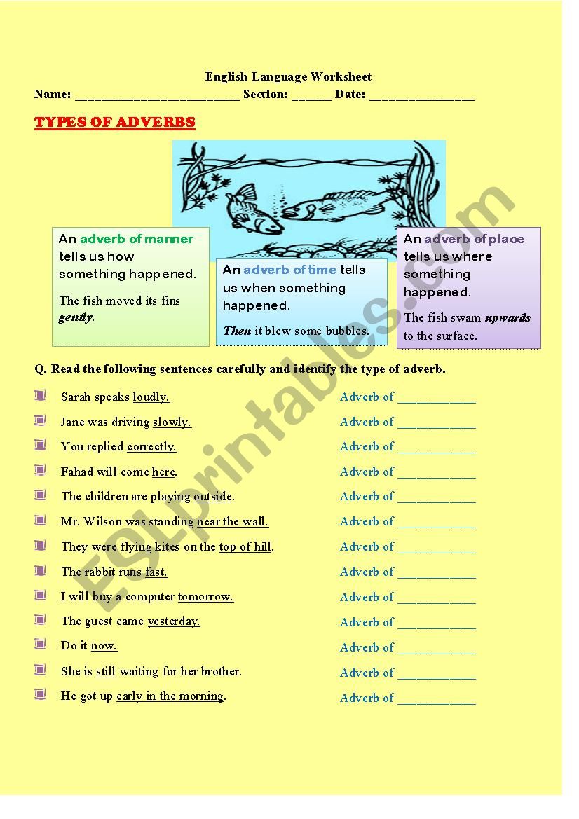 Types of adverbs Worksheet worksheet