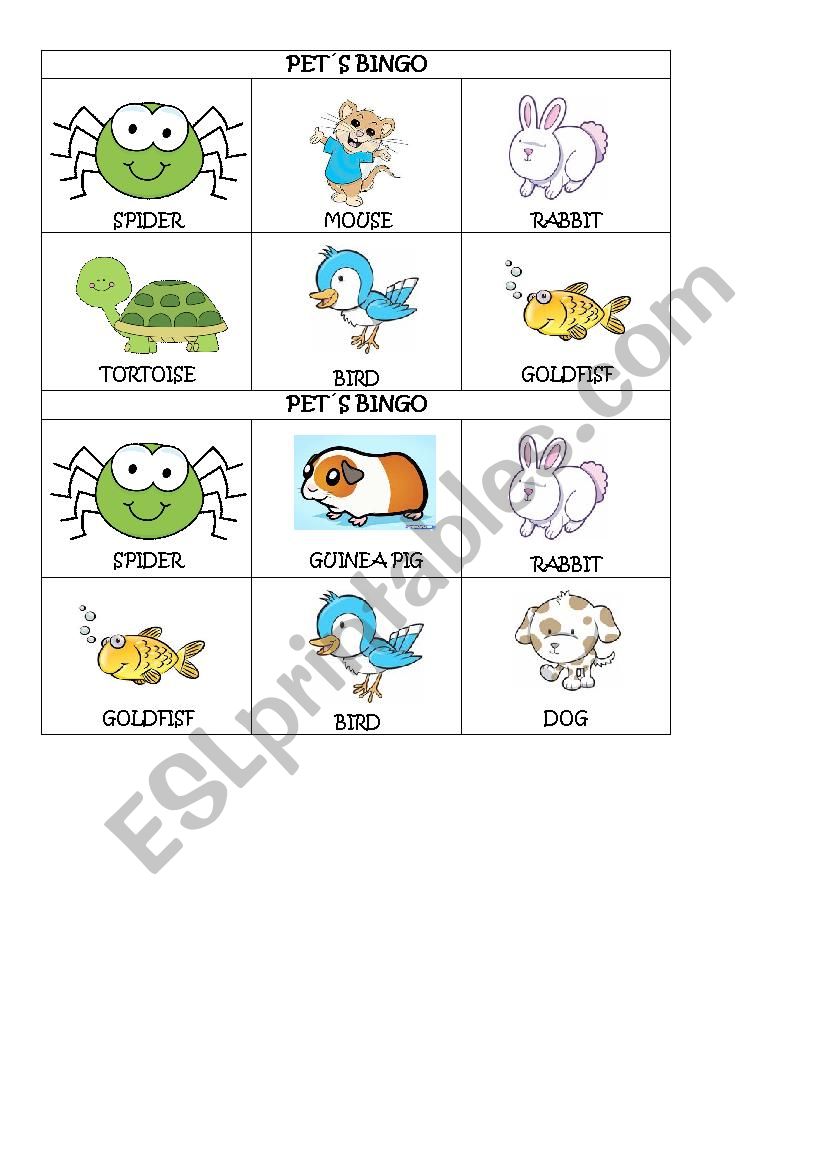 pets bingo worksheet