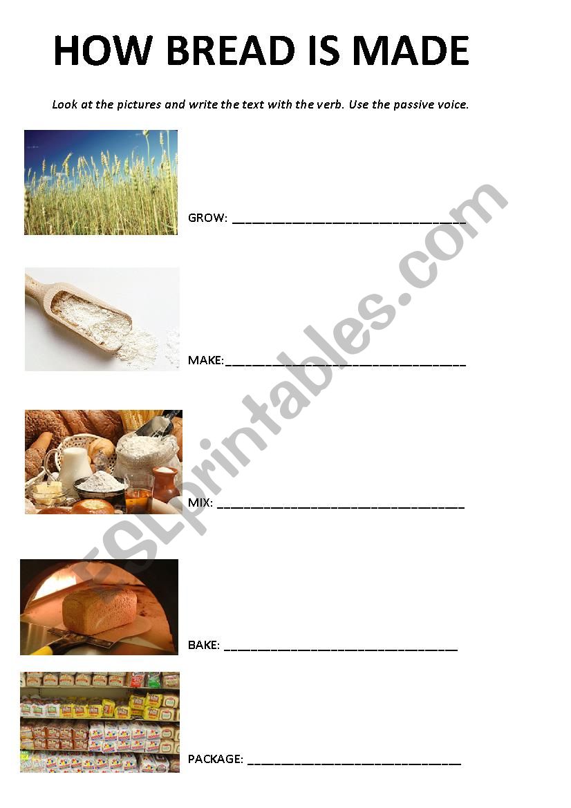 How bread is made worksheet