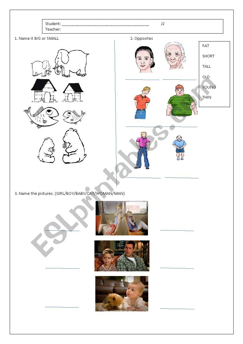 opposites worksheet