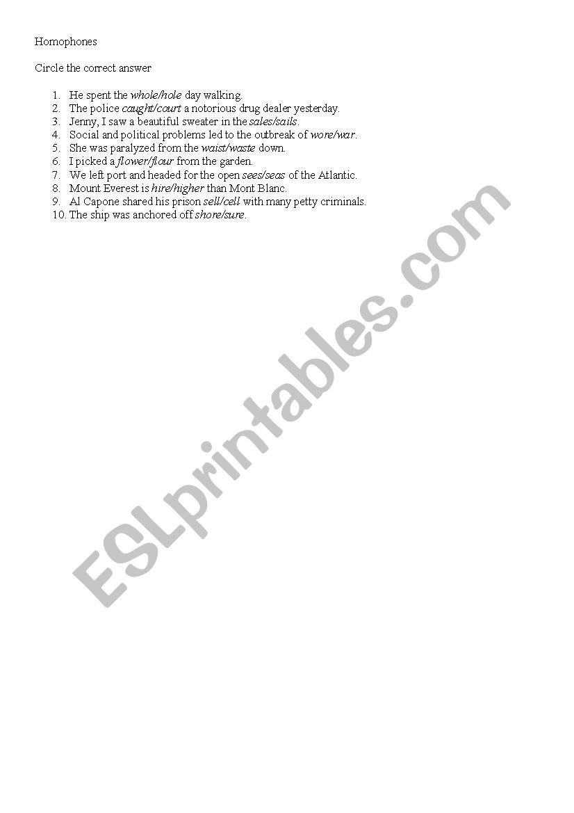 Homophones worksheet