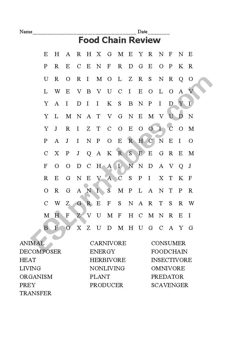 Food Chain Word Search worksheet
