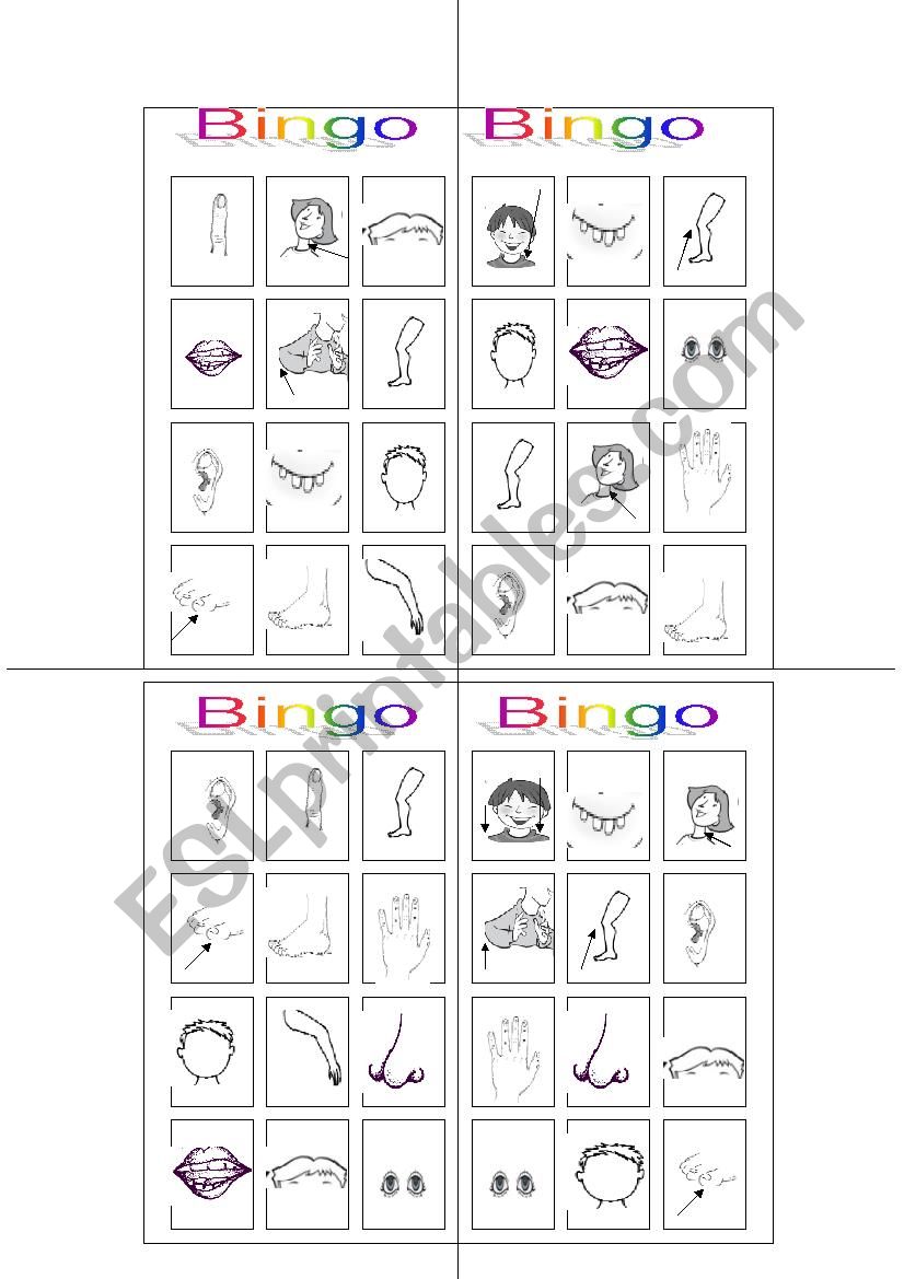 bingo body parts worksheet