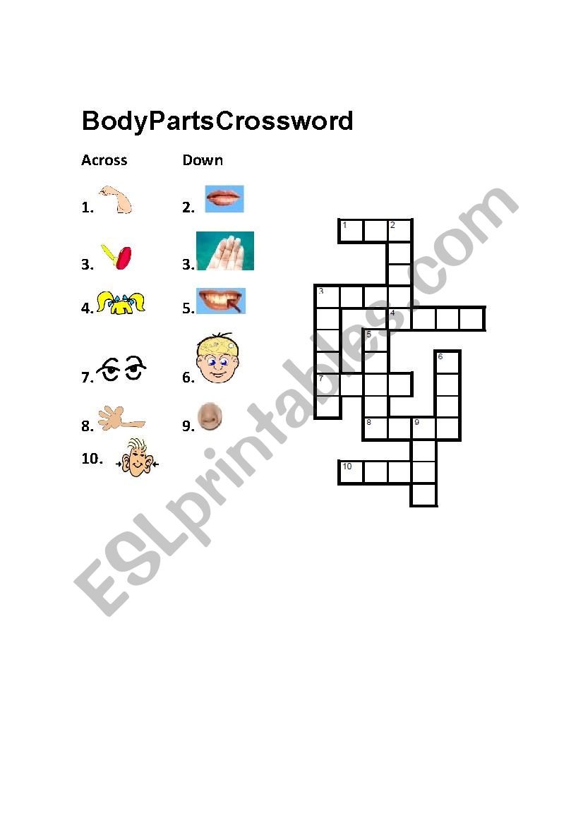 Body Parts Crossword worksheet