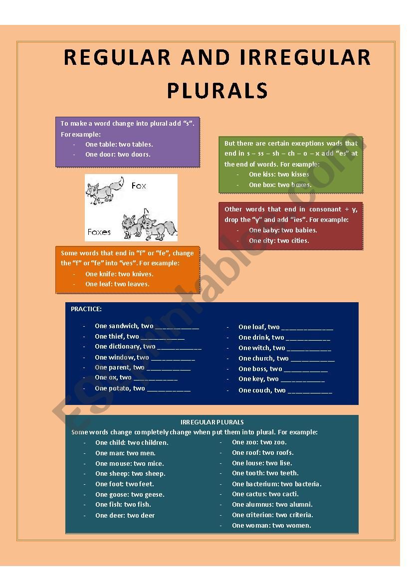 REGULAR AND IRREGULAR PLURALS worksheet
