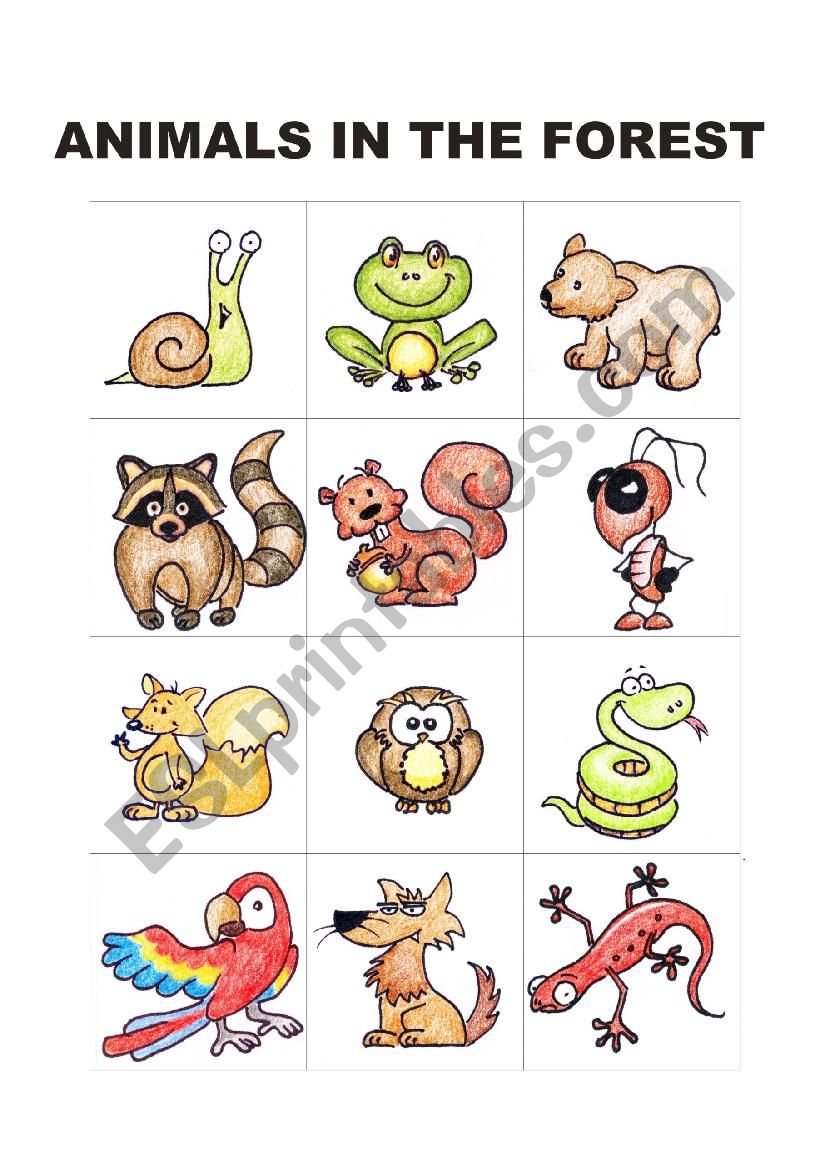 Animals in the forest worksheet