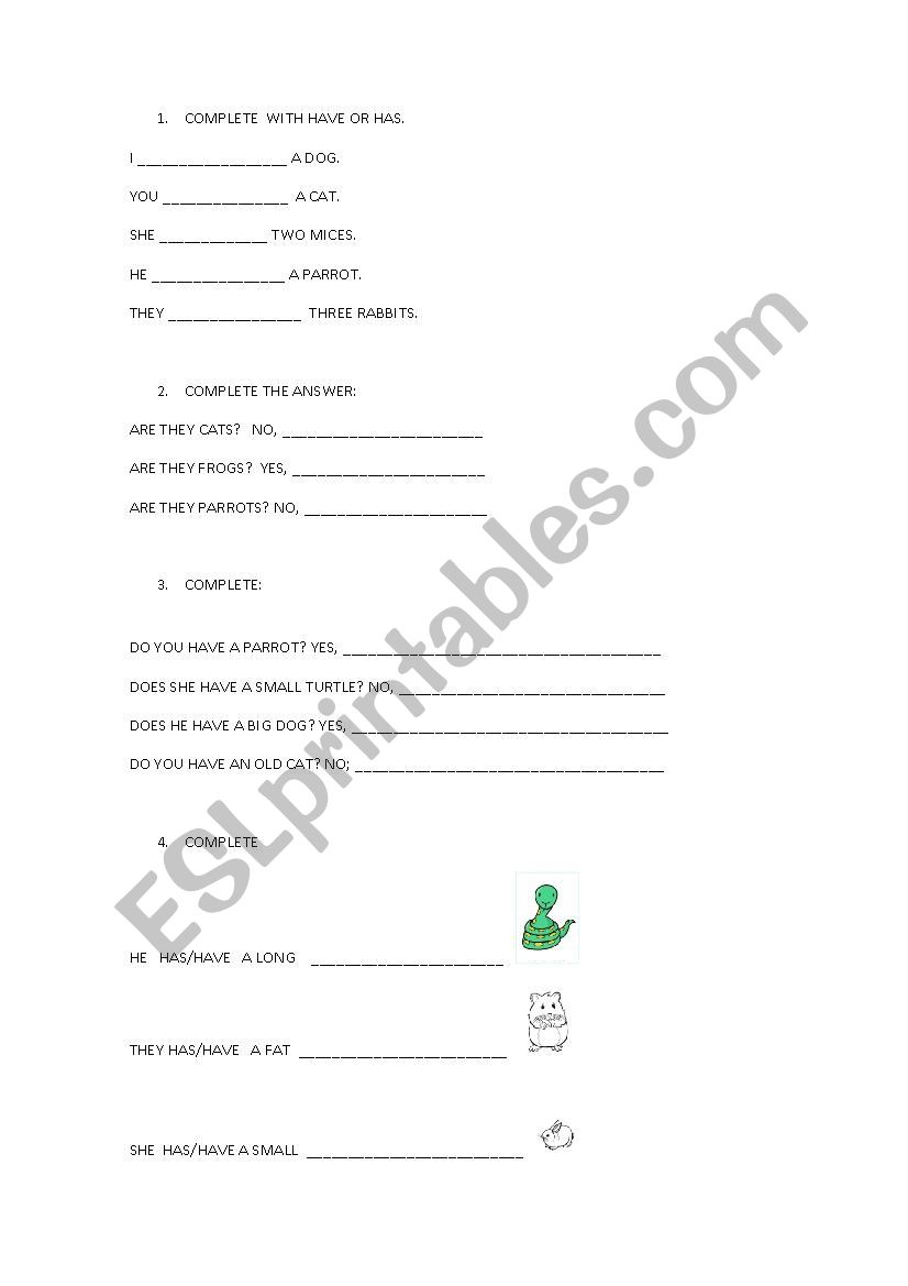 HAVE/HAS worksheet