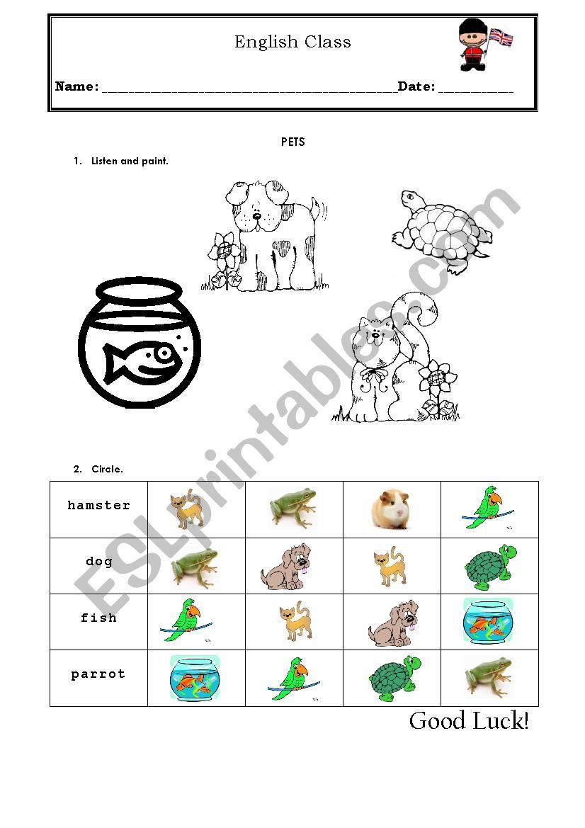 pets  worksheet